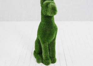 dsc_6022